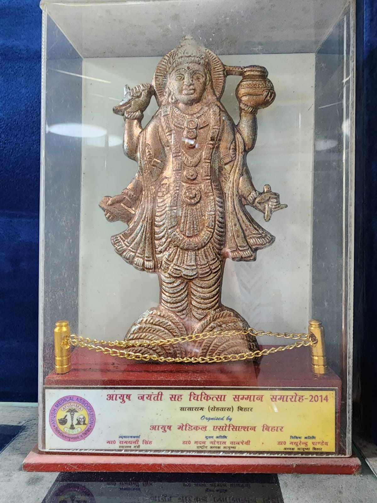 Ayush Jayati Sah Chikitsa Samman Samaroh 2014